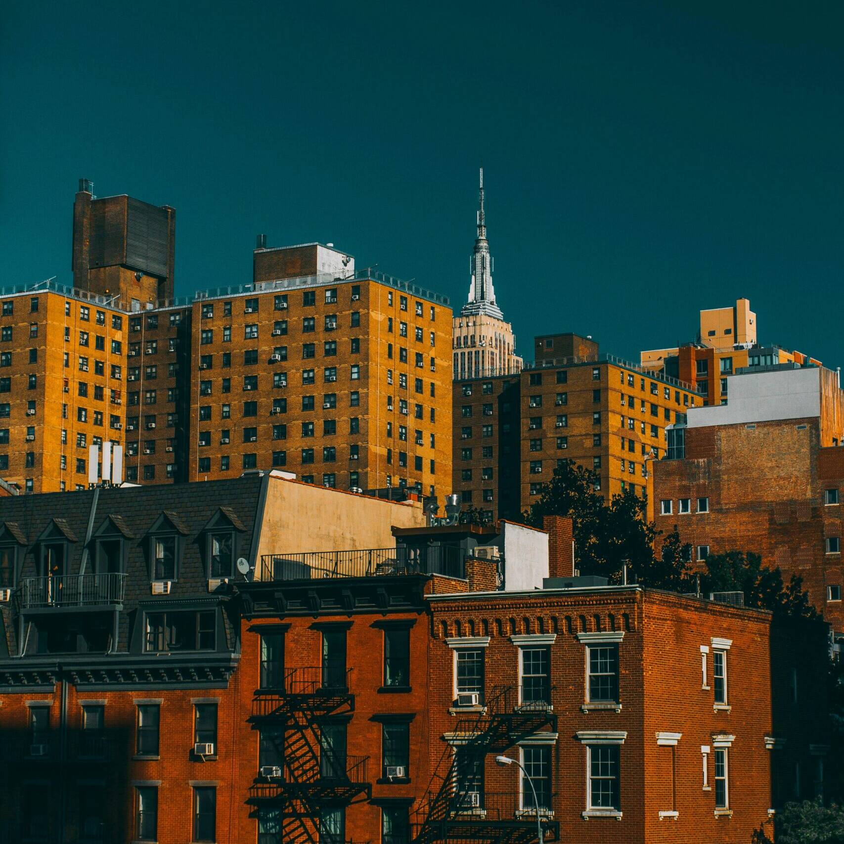 Buildings in new york city