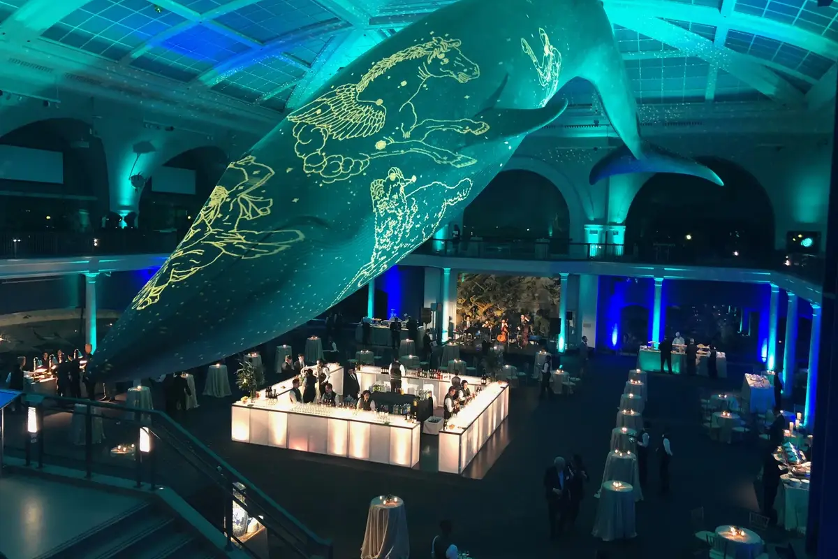 Event bar in museum