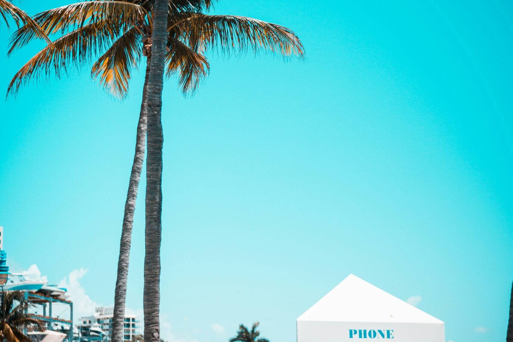 Pool side view with palm trees and phone booth