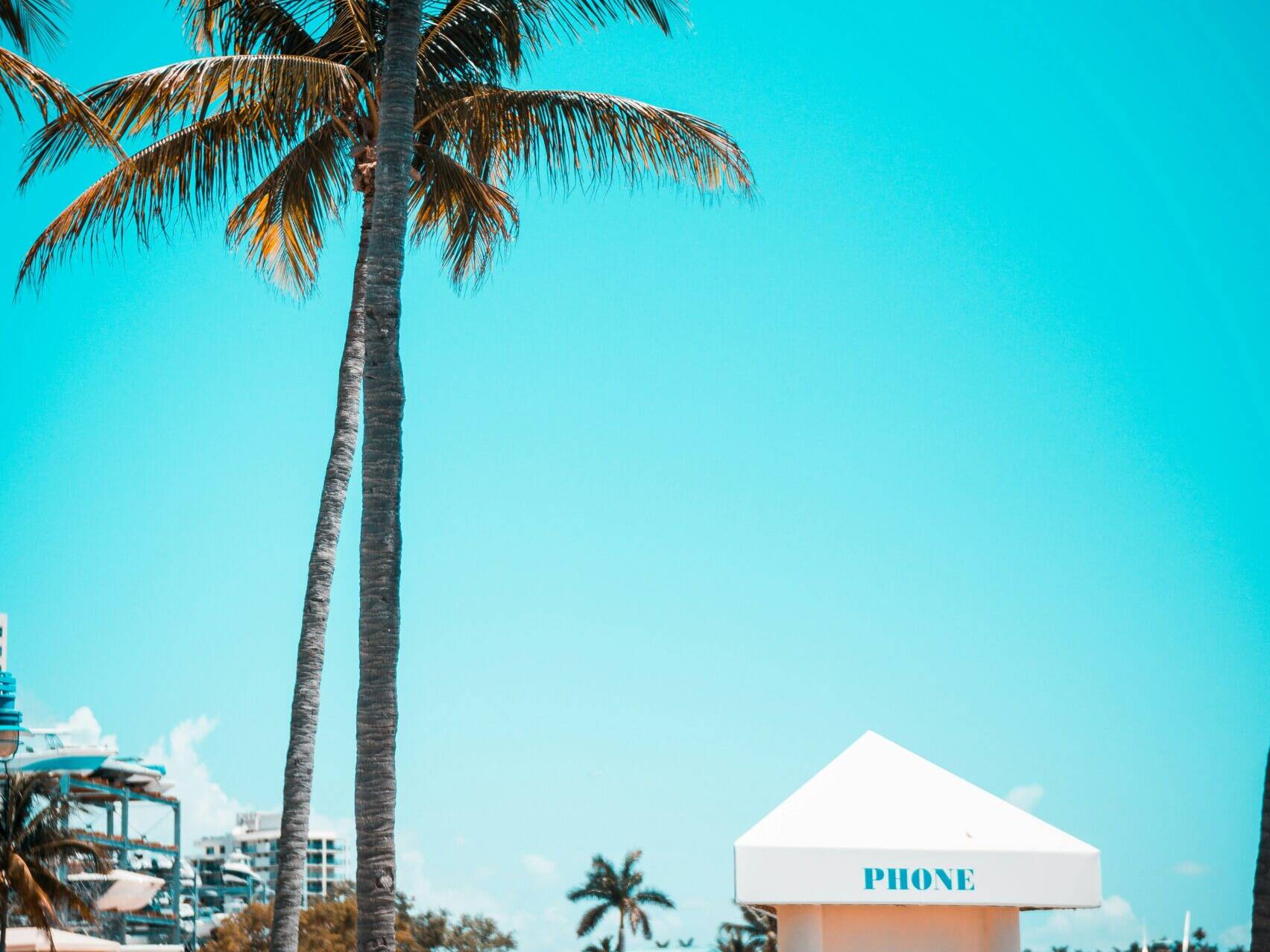 Pool side view with palm trees and phone booth
