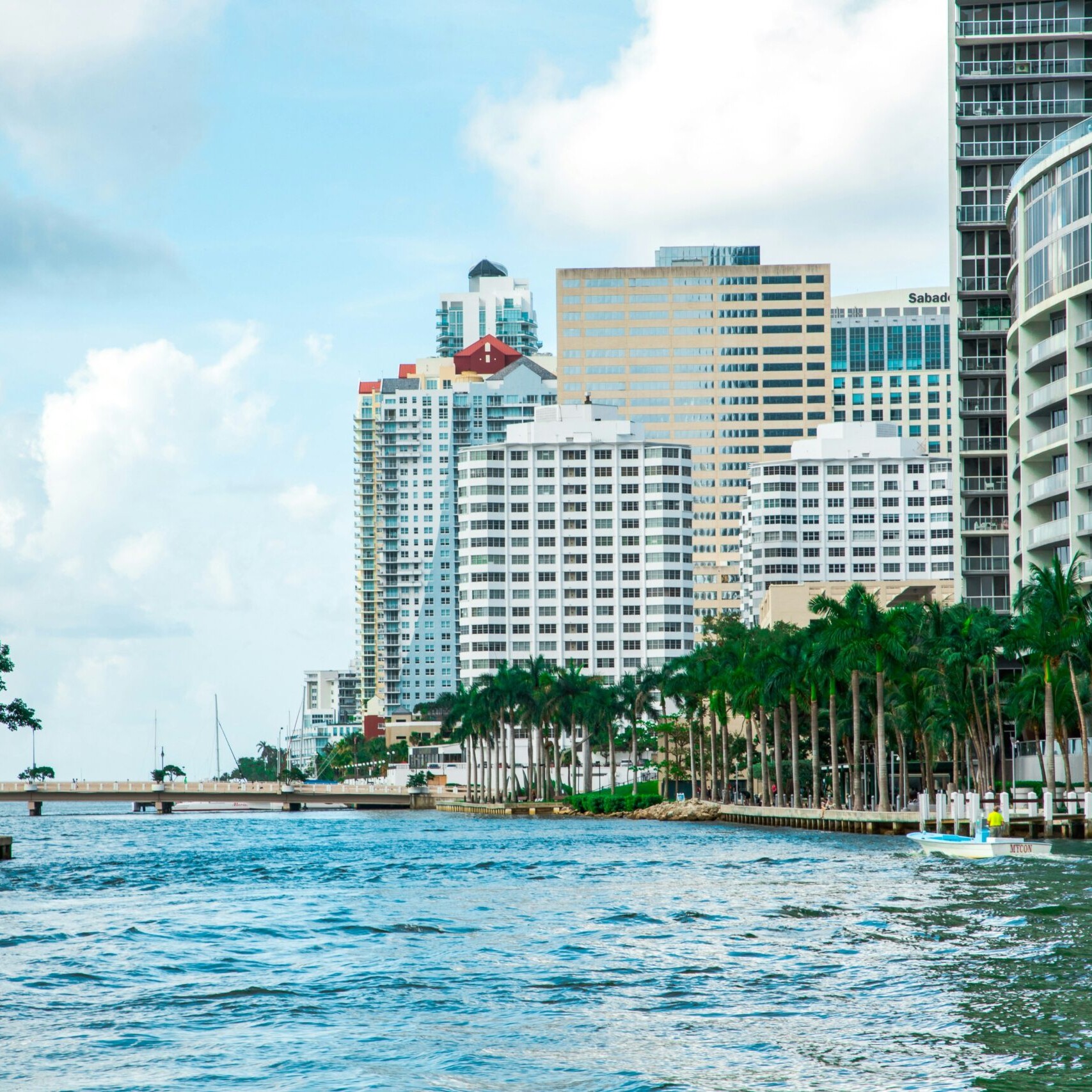 View of Miami from the water
